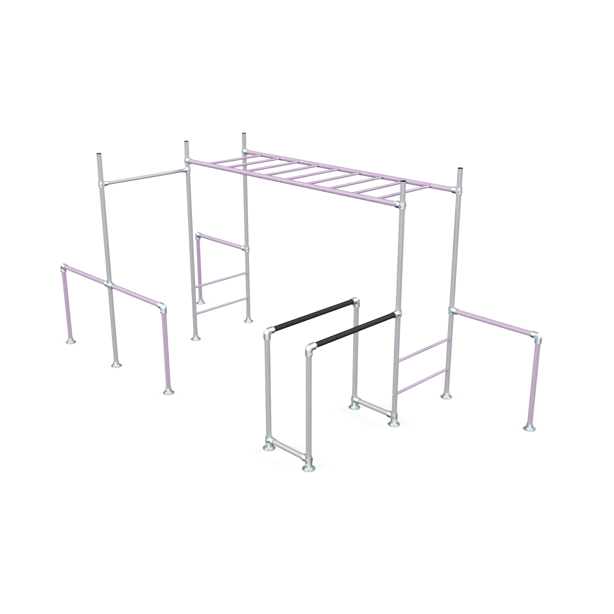 Tamarin Base - Image 4